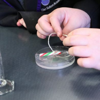 tsa_Year8Science (24)